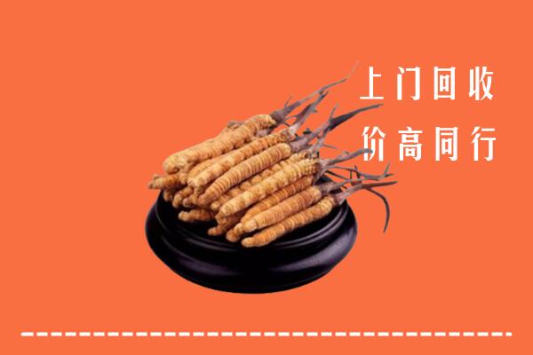 高价求购：巢湖市回收散虫草