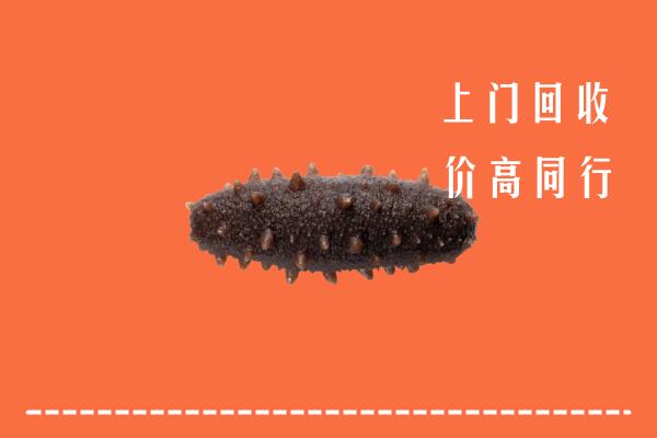 巢湖市回收海参