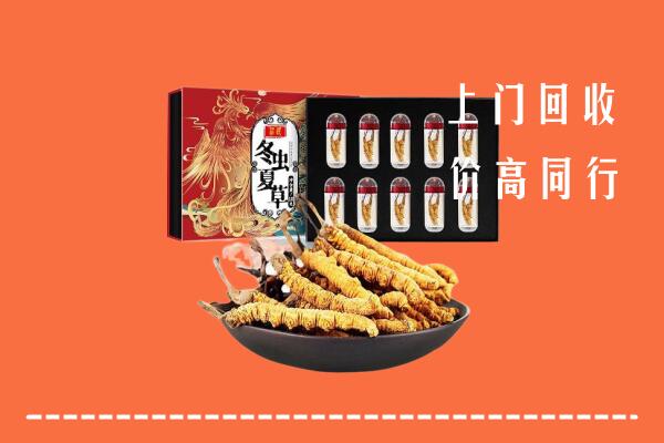 巢湖市回收虫草